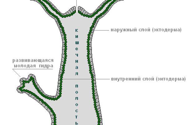 Мега даркнет шоп