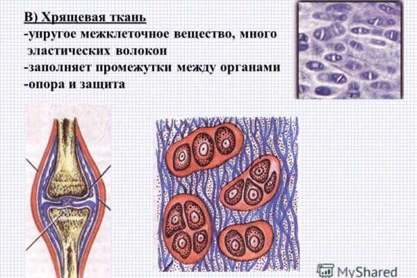 Mega маркетплейс